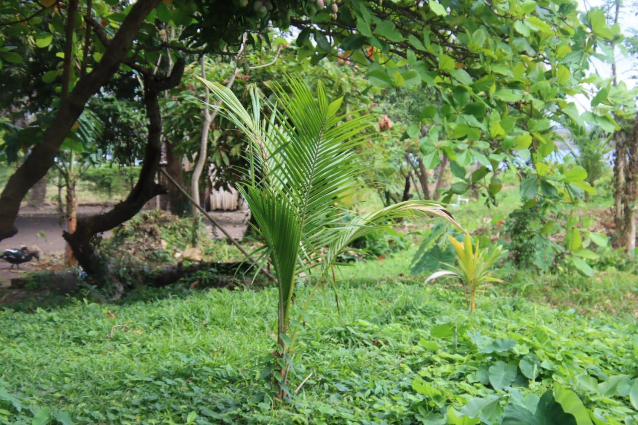 La Sirenita - Ometepe Hotel Altagracia Екстериор снимка