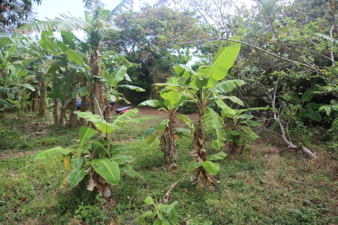 La Sirenita - Ometepe Hotel Altagracia Екстериор снимка